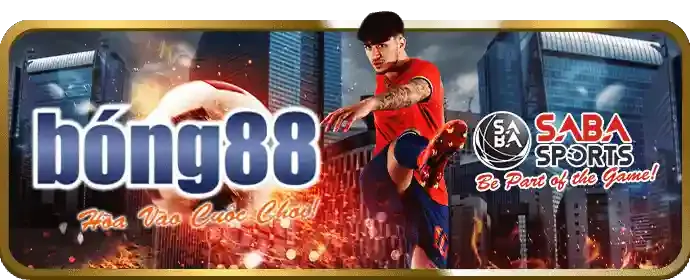 Tham gia cá cược thể thao đa dạng với tỷ lệ cược hấp dẫn tại benca29 win